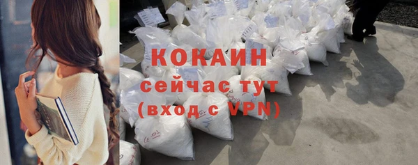 прущие грибы Абаза