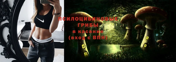 дмт Абинск