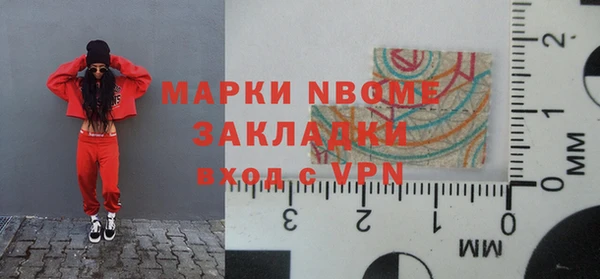 прущие грибы Абаза