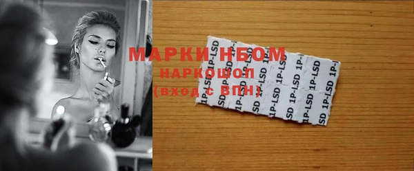 прущие грибы Абаза
