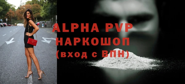 прущие грибы Абаза