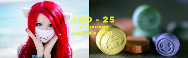 прущие грибы Абаза