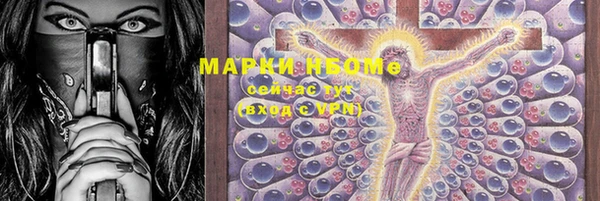прущие грибы Абаза