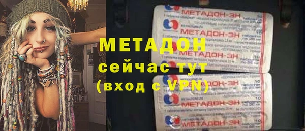 прущие грибы Абаза