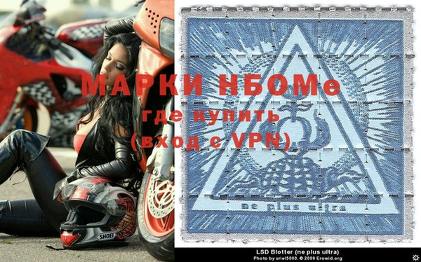прущие грибы Абаза