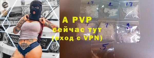 прущие грибы Абаза