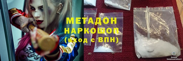 прущие грибы Абаза