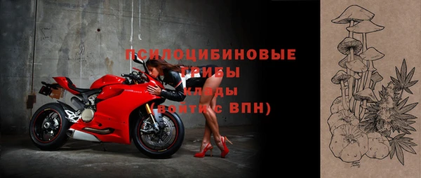 прущие грибы Абаза