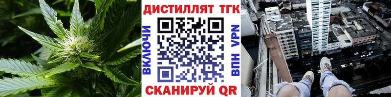сколько стоит Чегем Дистиллят ТГК гашишное масло