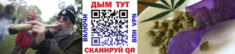 Шишки марихуана Amnesia  ОМГ ОМГ зеркало  Чегем 